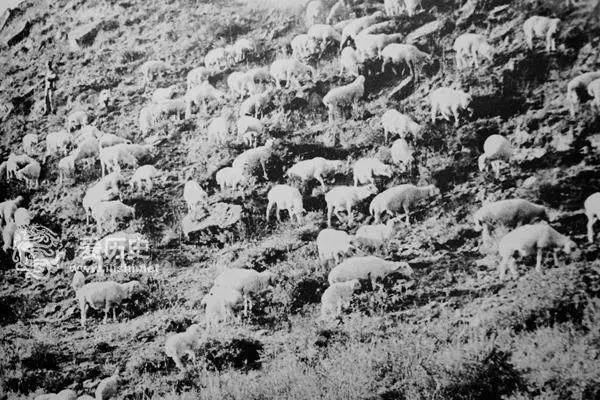 1620459033229232.jpg 5820_副本.jpg